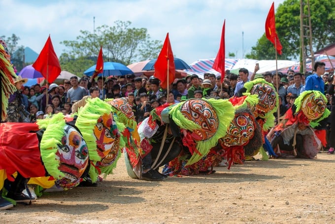 Đội múa sư tử mèo.