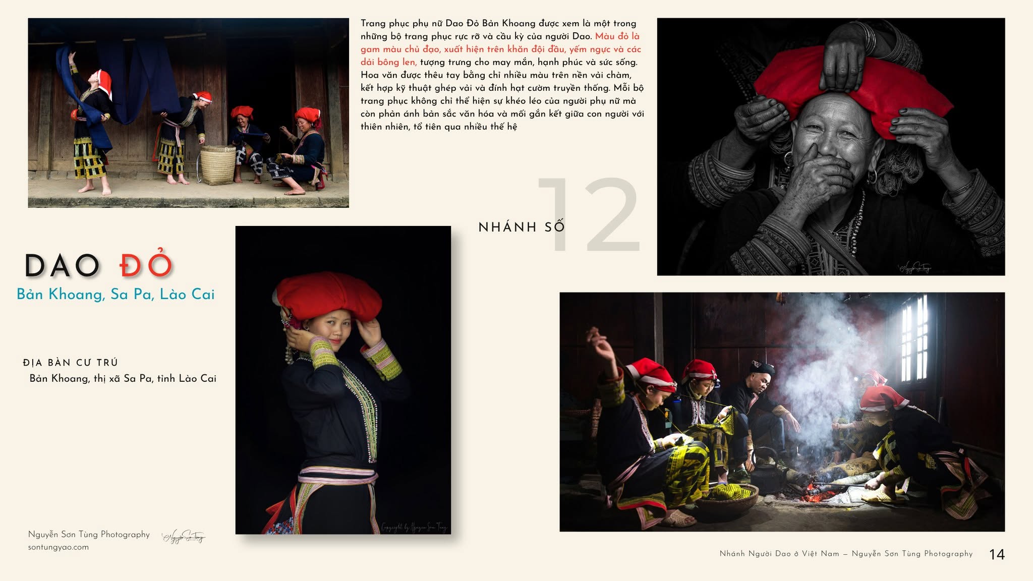DAO ĐỎ – NHÁNH SỐ 12