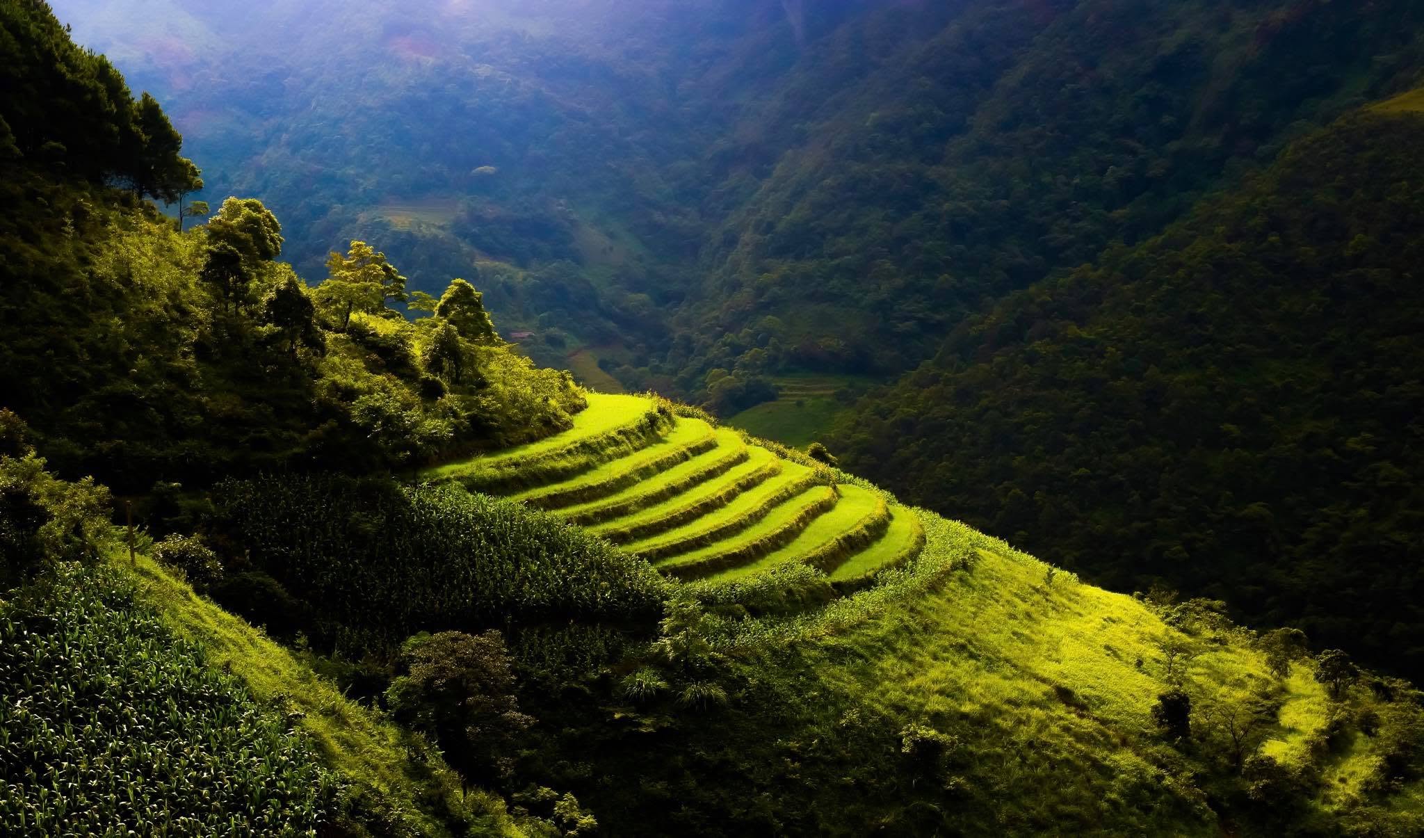 Ruộng bậc thang mùa thu Mẫu Sơn