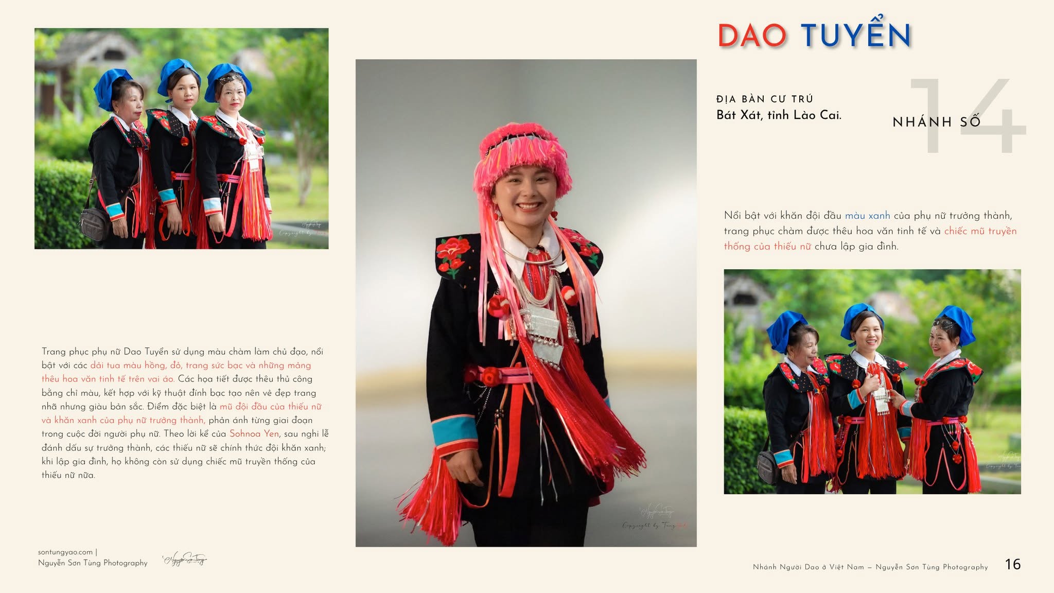 DAO TUYỀN – NHÁNH SỐ 14