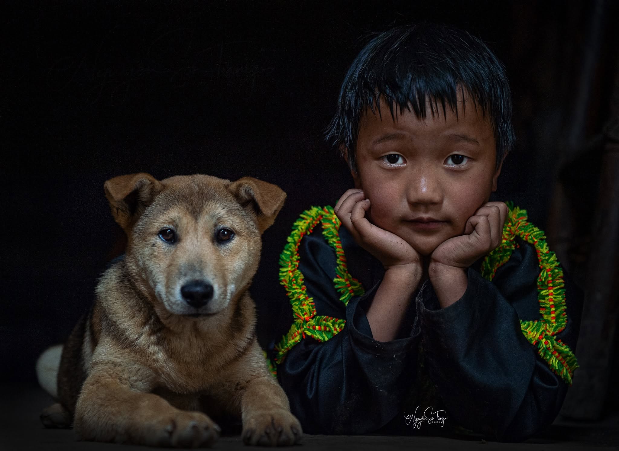 Cậu bé và chú chó