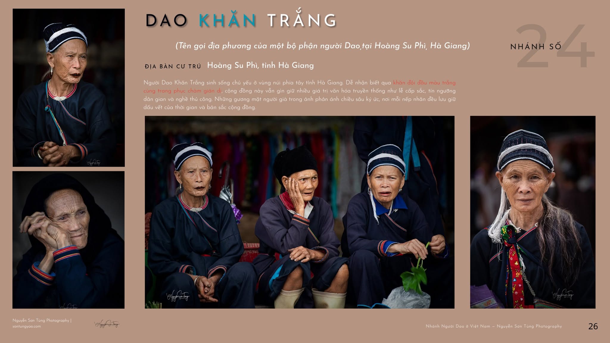 DAO KHĂN TRẮNG – NHÁNH SỐ 24