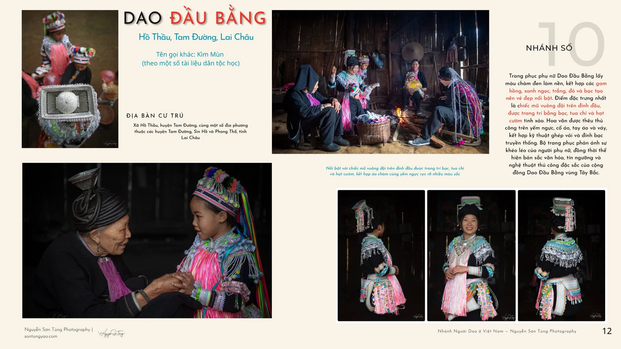 DAO ĐẦU BẰNG – NHÁNH SỐ 10