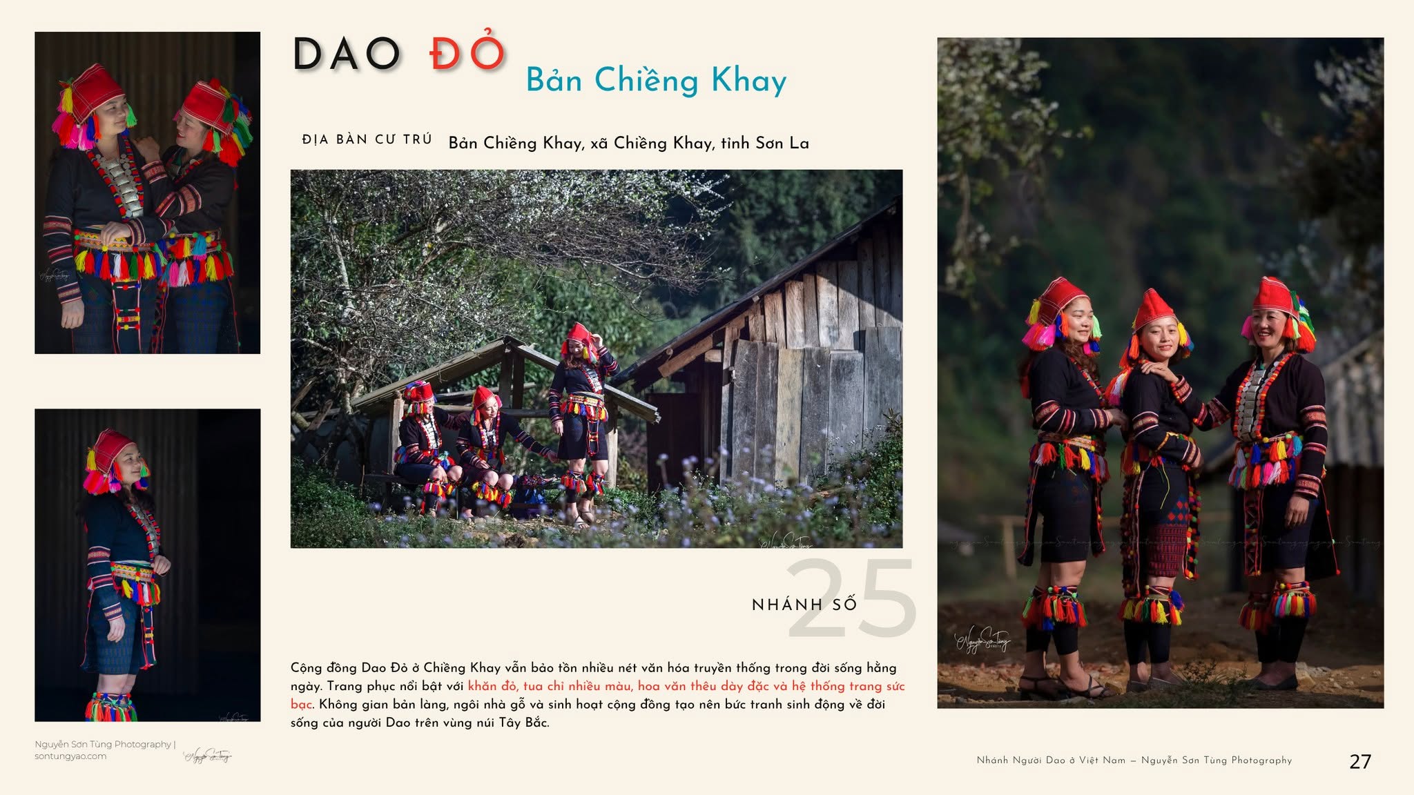 DAO ĐỎ – NHÁNH SỐ 25