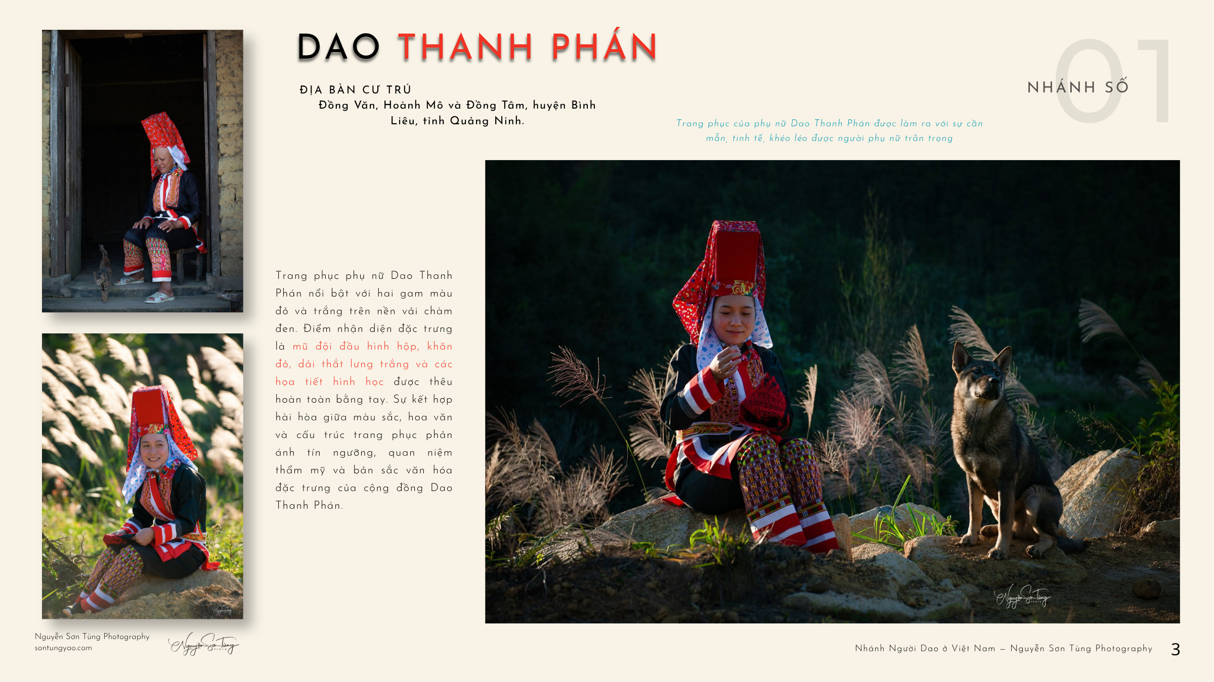 DAO THANH PHÁN – NHÁNH SỐ 01