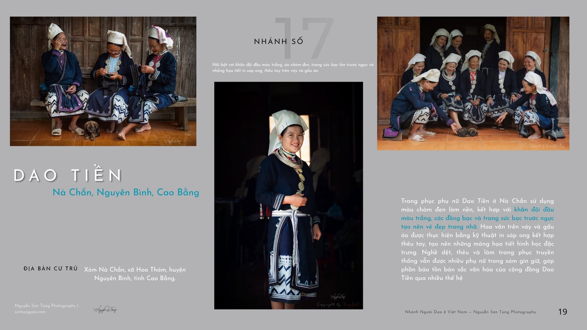 DAO TIỀN – NHÁNH SỐ 17