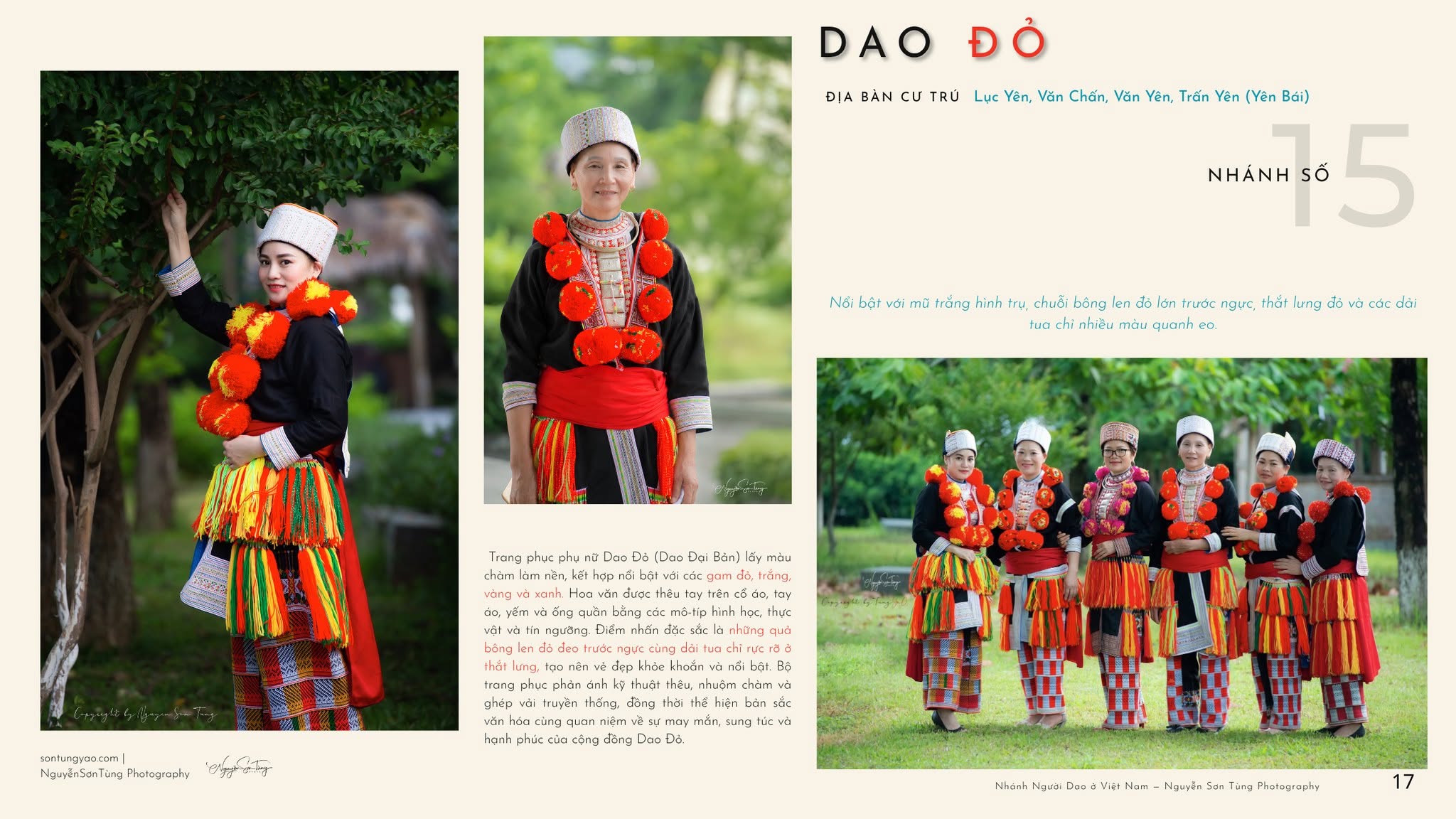 DAO ĐỎ – NHÁNH SỐ 15