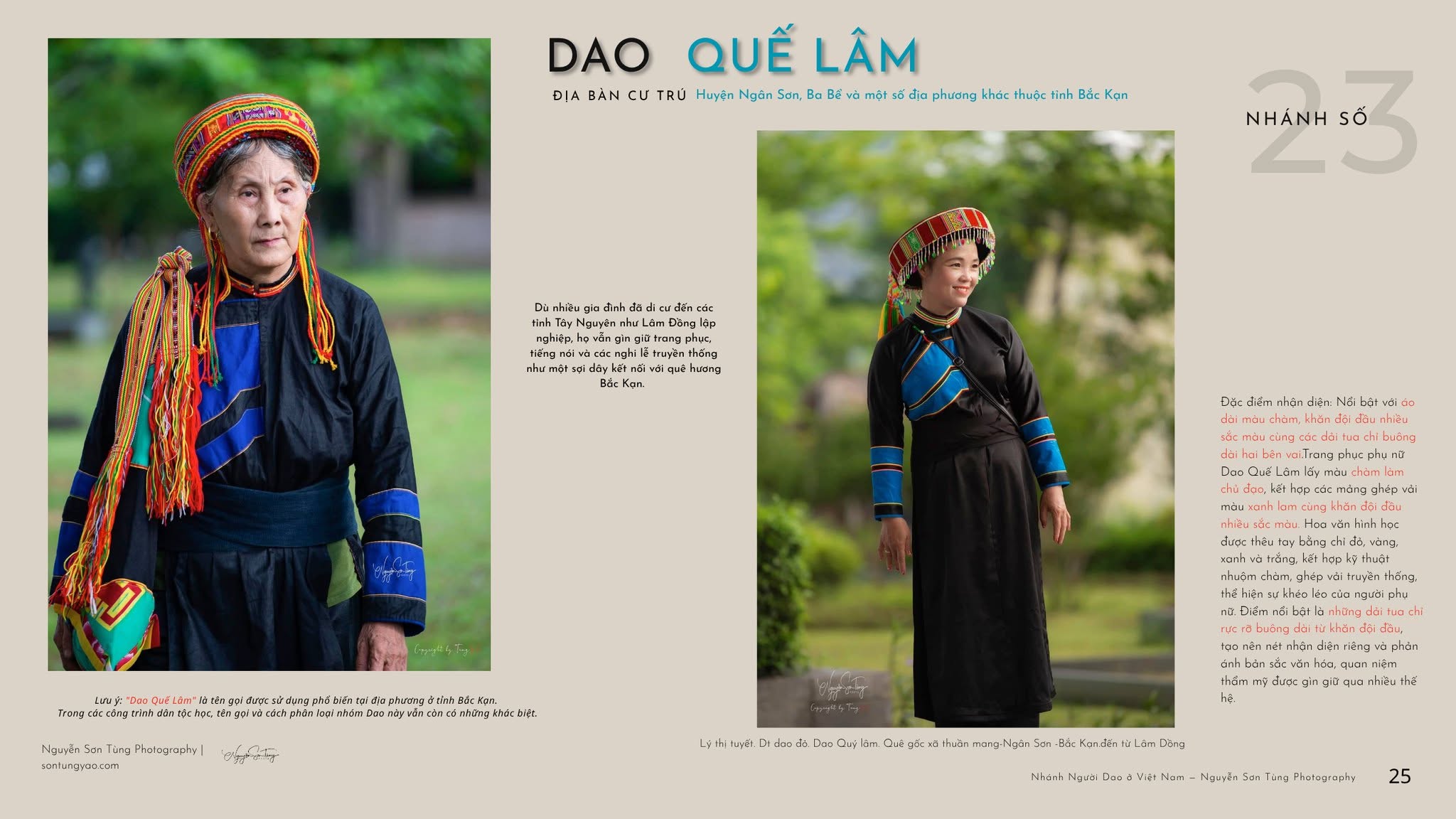 DAO QUẾ LÂM – NHÁNH SỐ 23