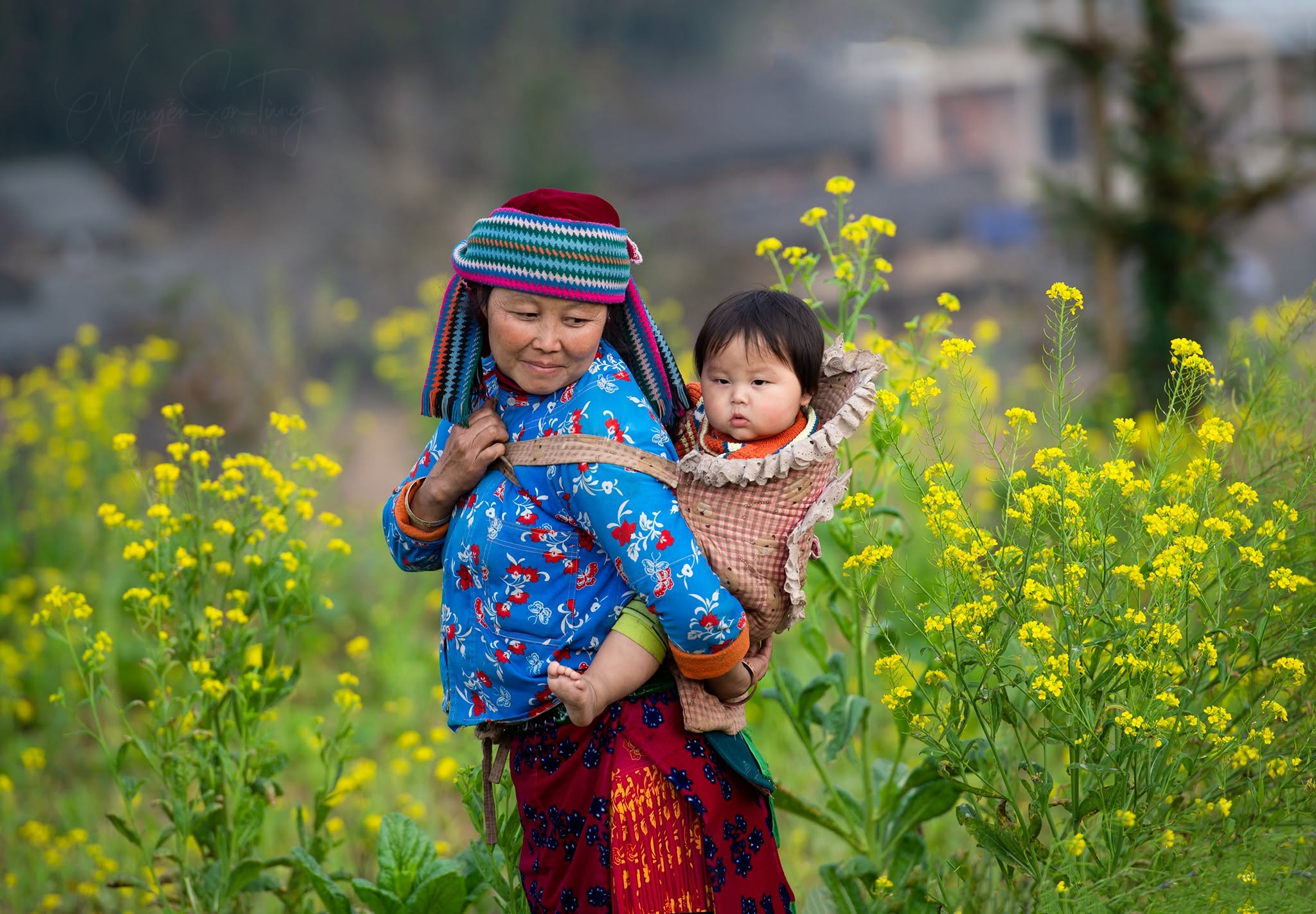 Người cõng em bé giữa đồng cải