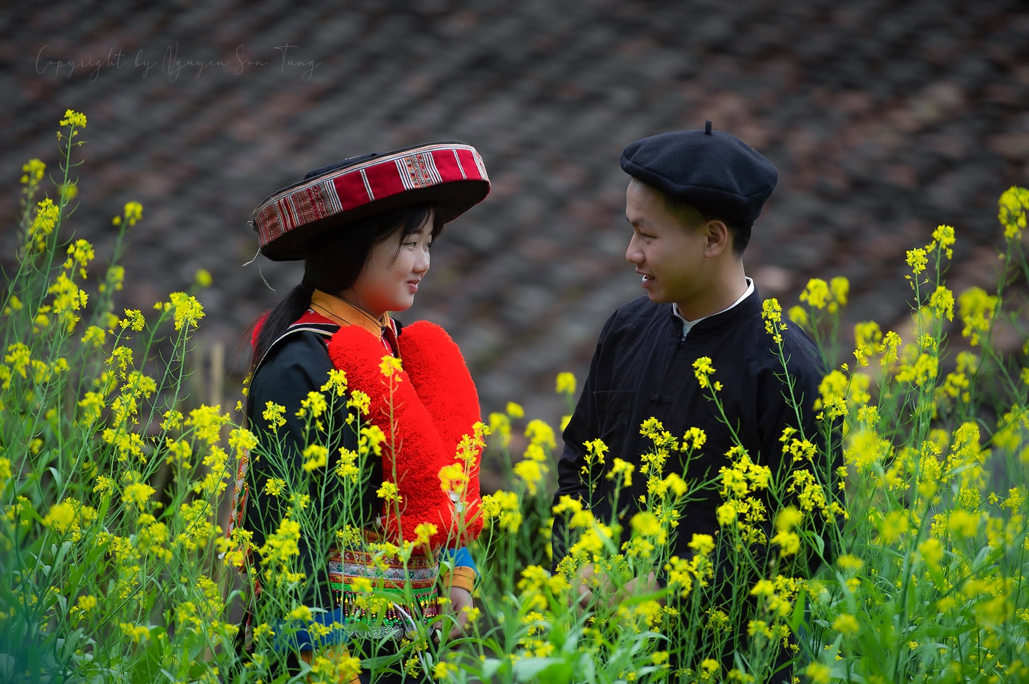 Hai người giữa đồng cải