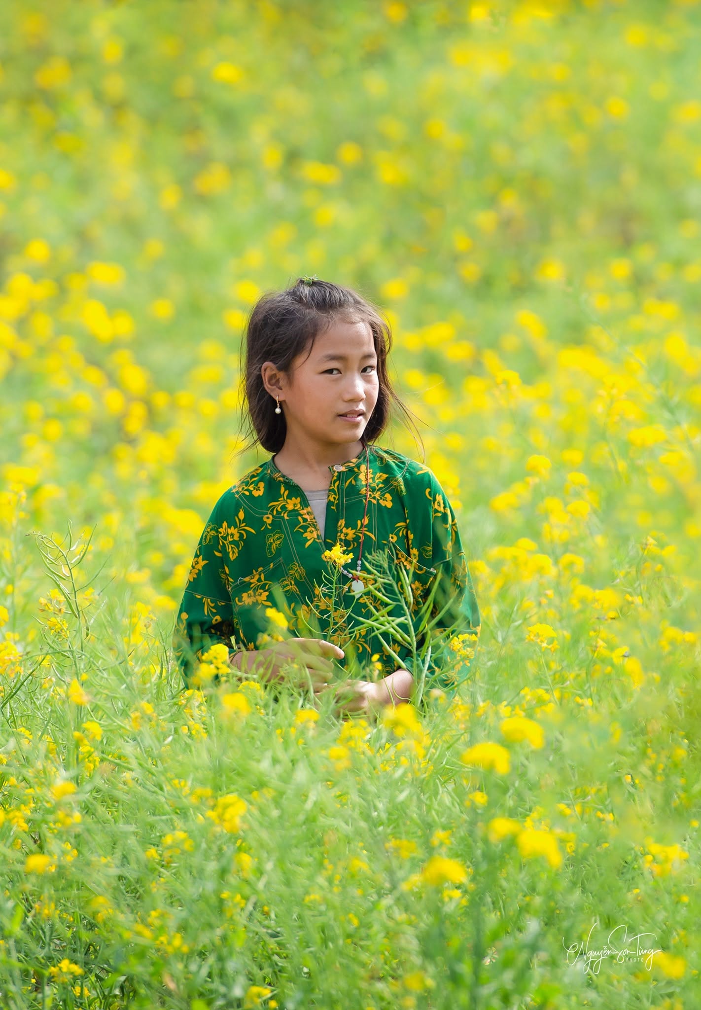 Bé gái trong đồng cải