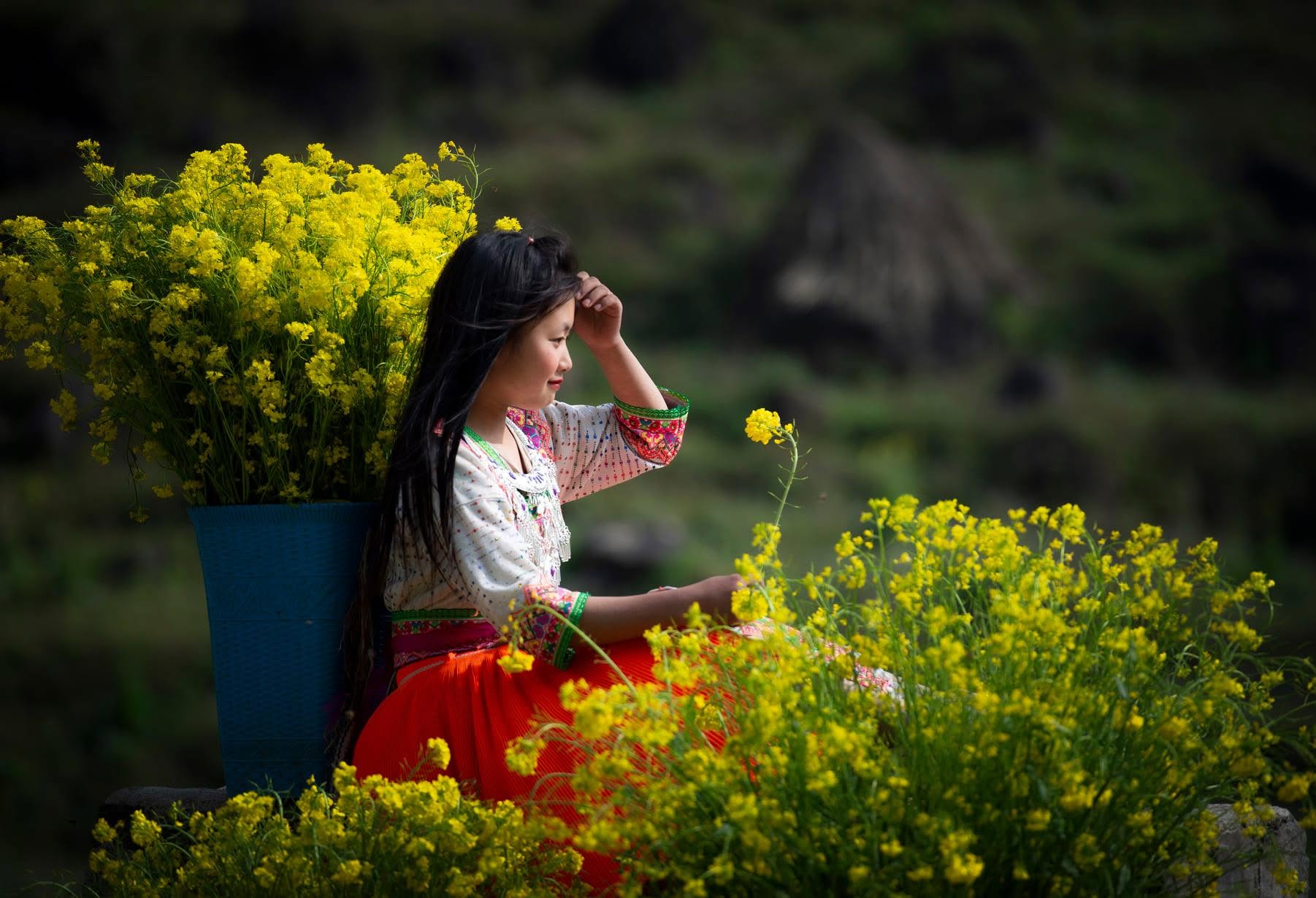 Bé gái giữa hoa cải