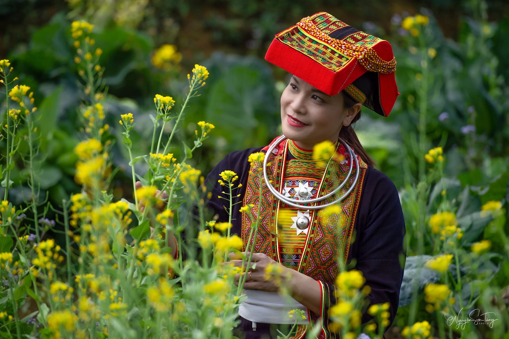 Người phụ nữ khăn đỏ giữa cải