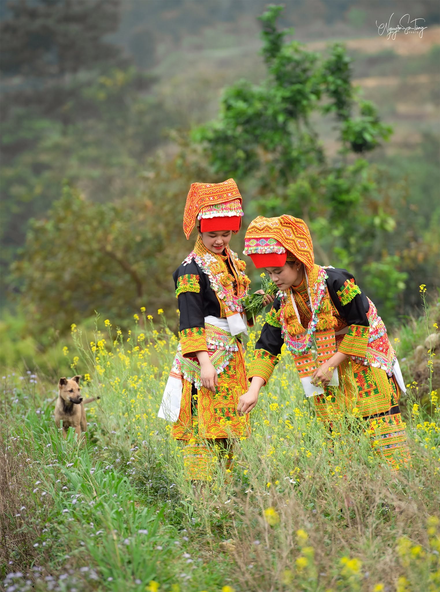 Hai người giữa đồng cải