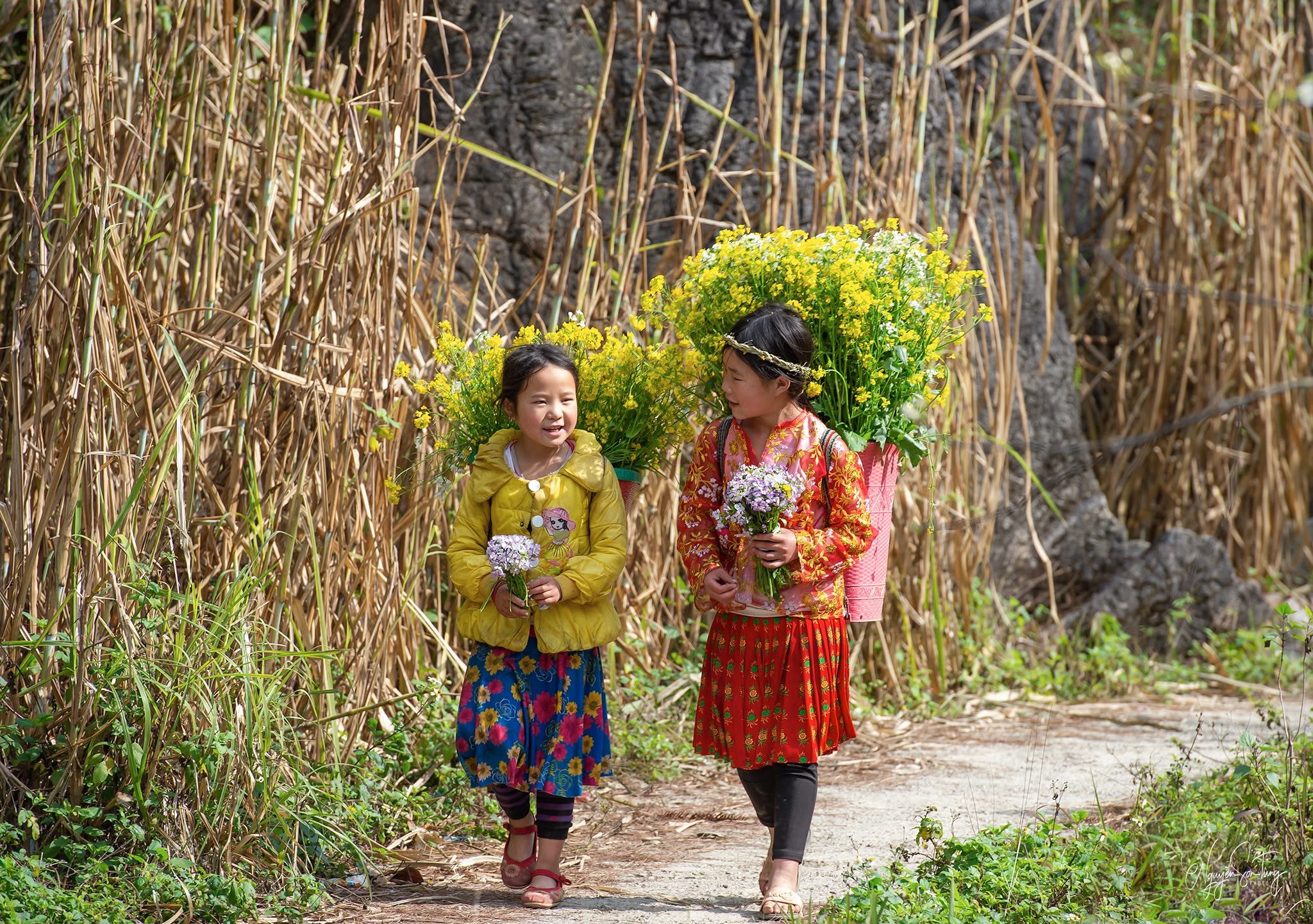 Hai bé gái gùi hoa cải đi trên con đường làng