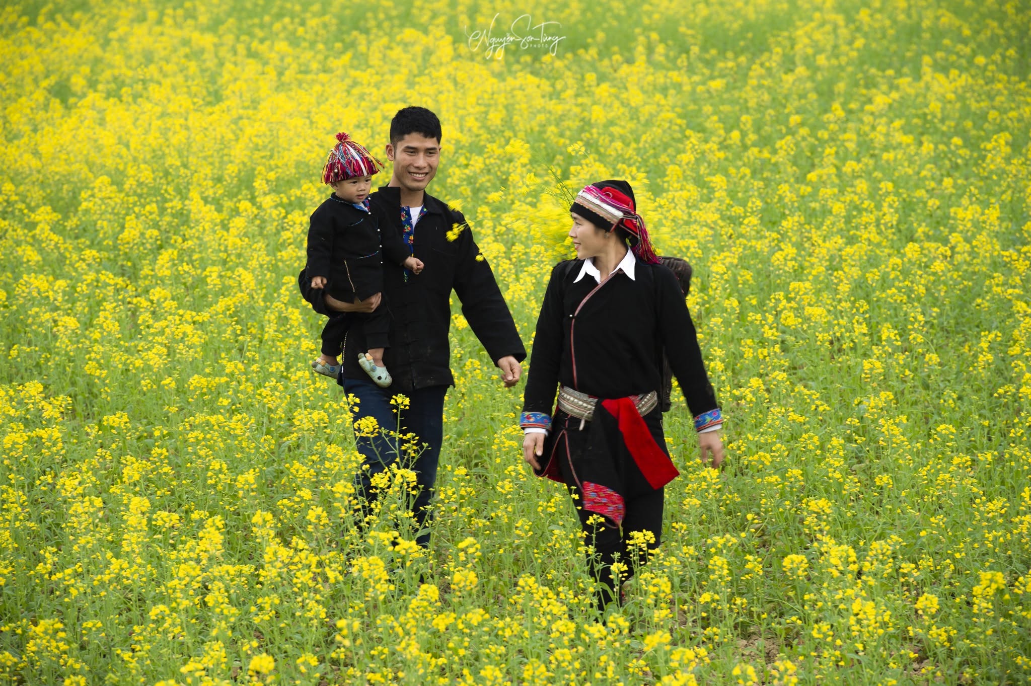 Ba người đi giữa ruộng hoa cải vàng rực rỡ
