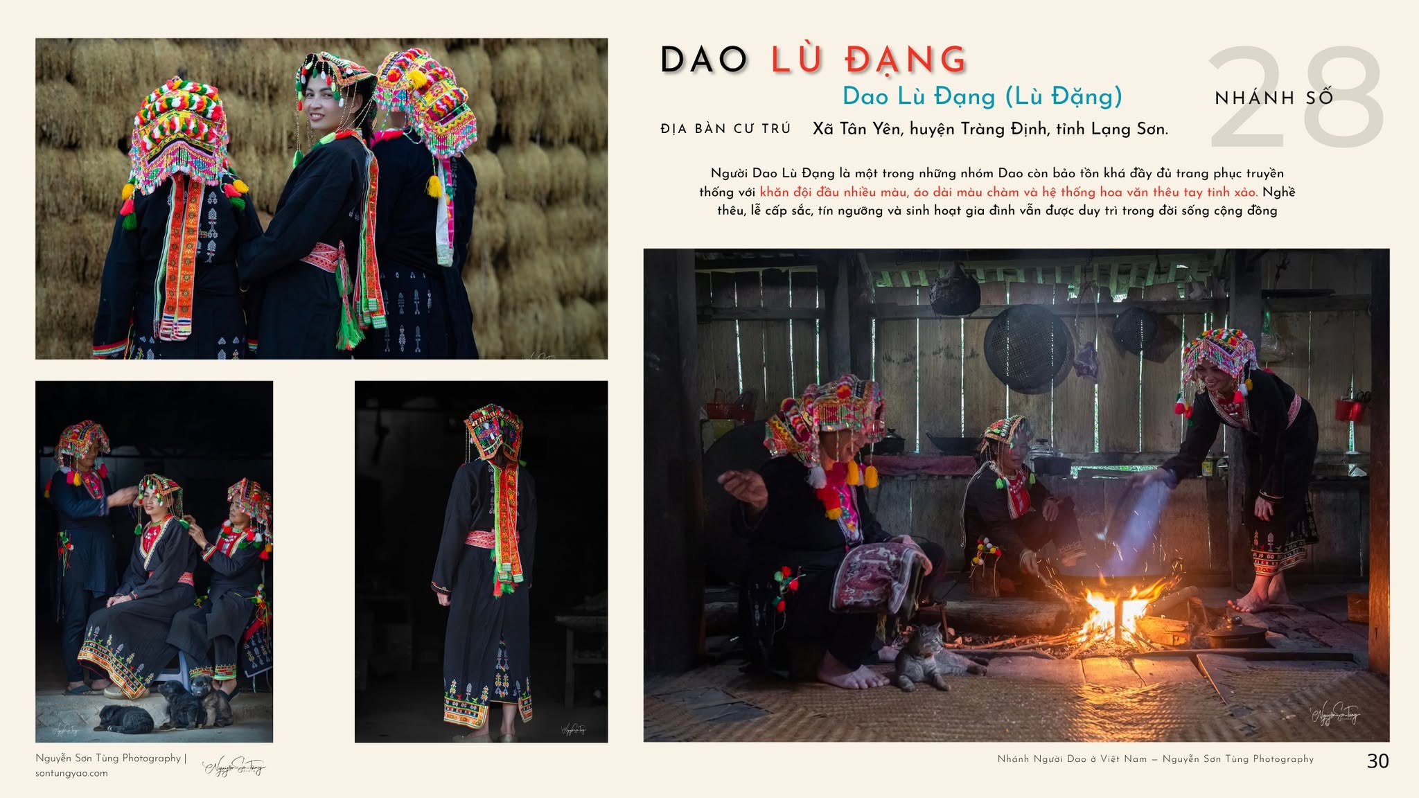 DAO LÙ ĐẠNG – NHÁNH SỐ 28