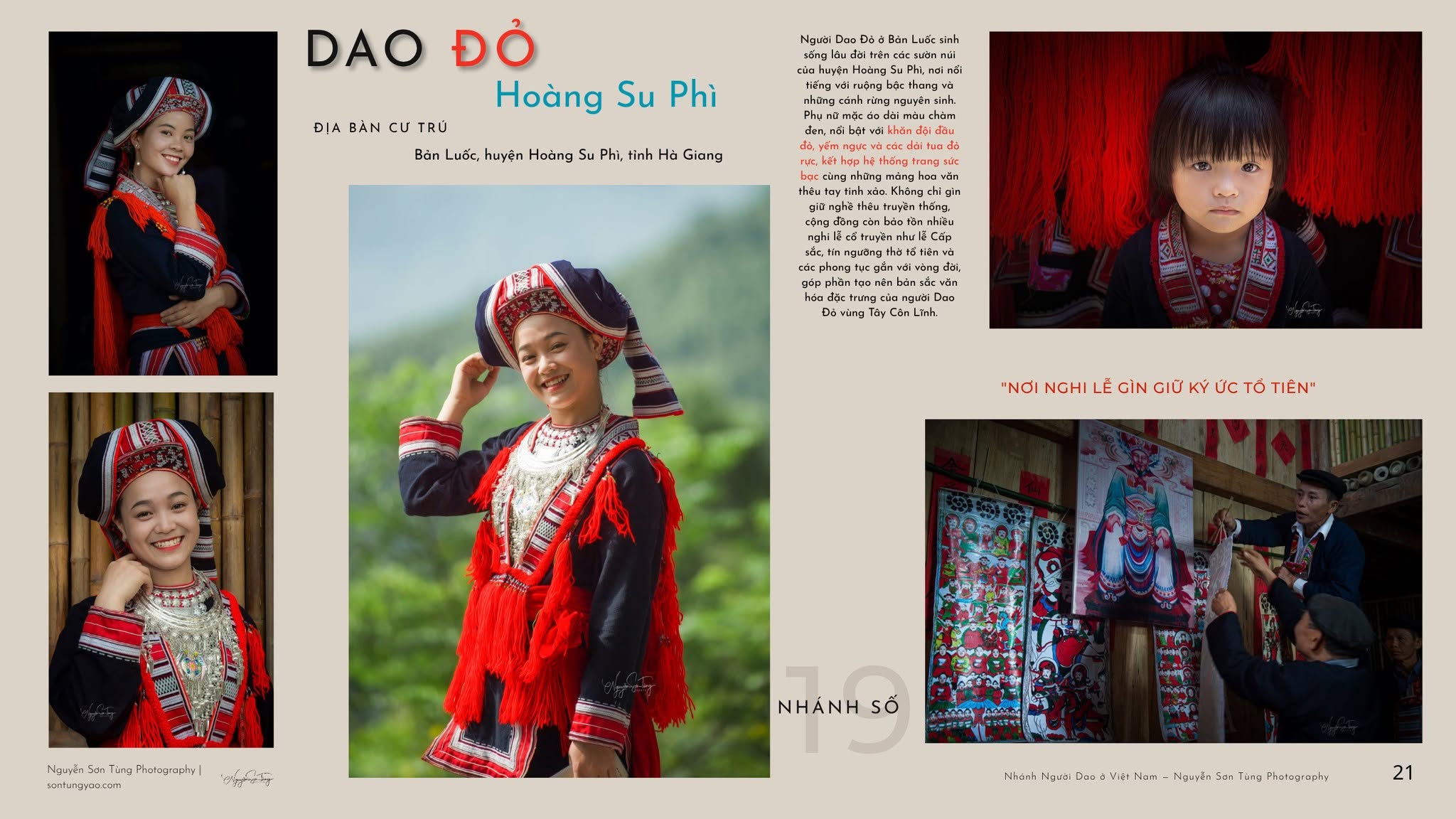 DAO ĐỎ – NHÁNH SỐ 19