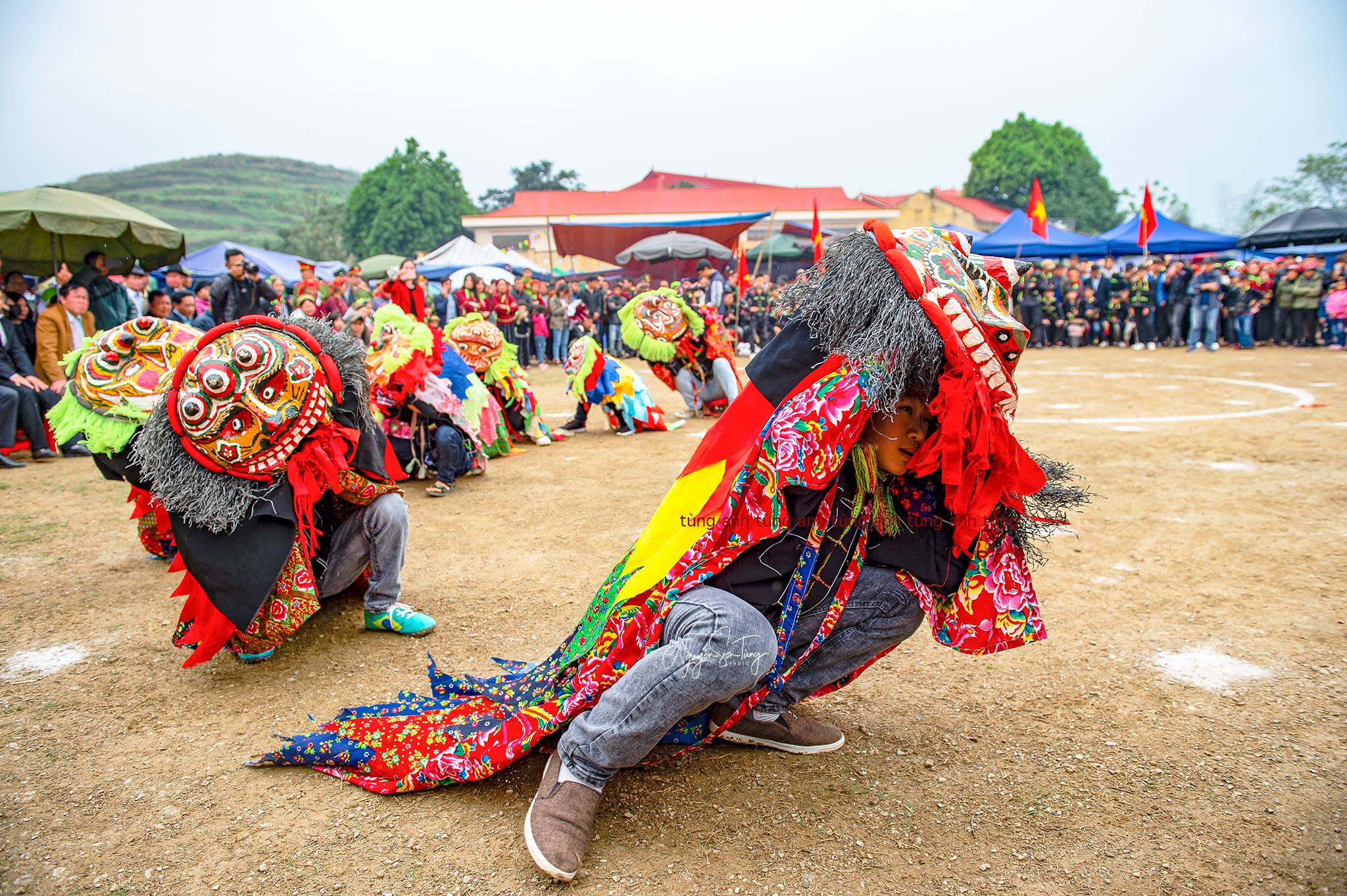 Múa sư tử mèo Hải Yến