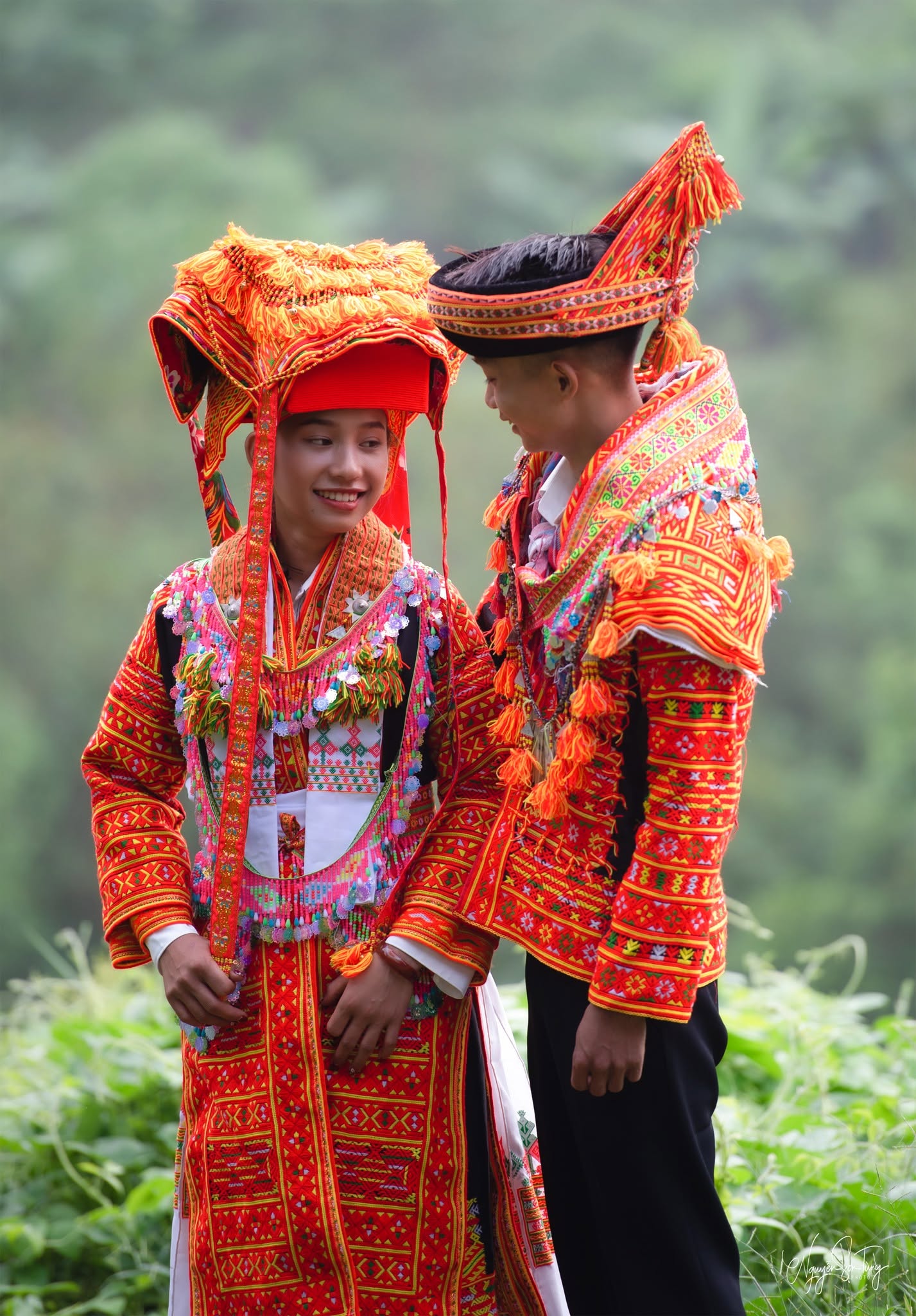 Cô dâu chú rể giữa thảm cây xanh
