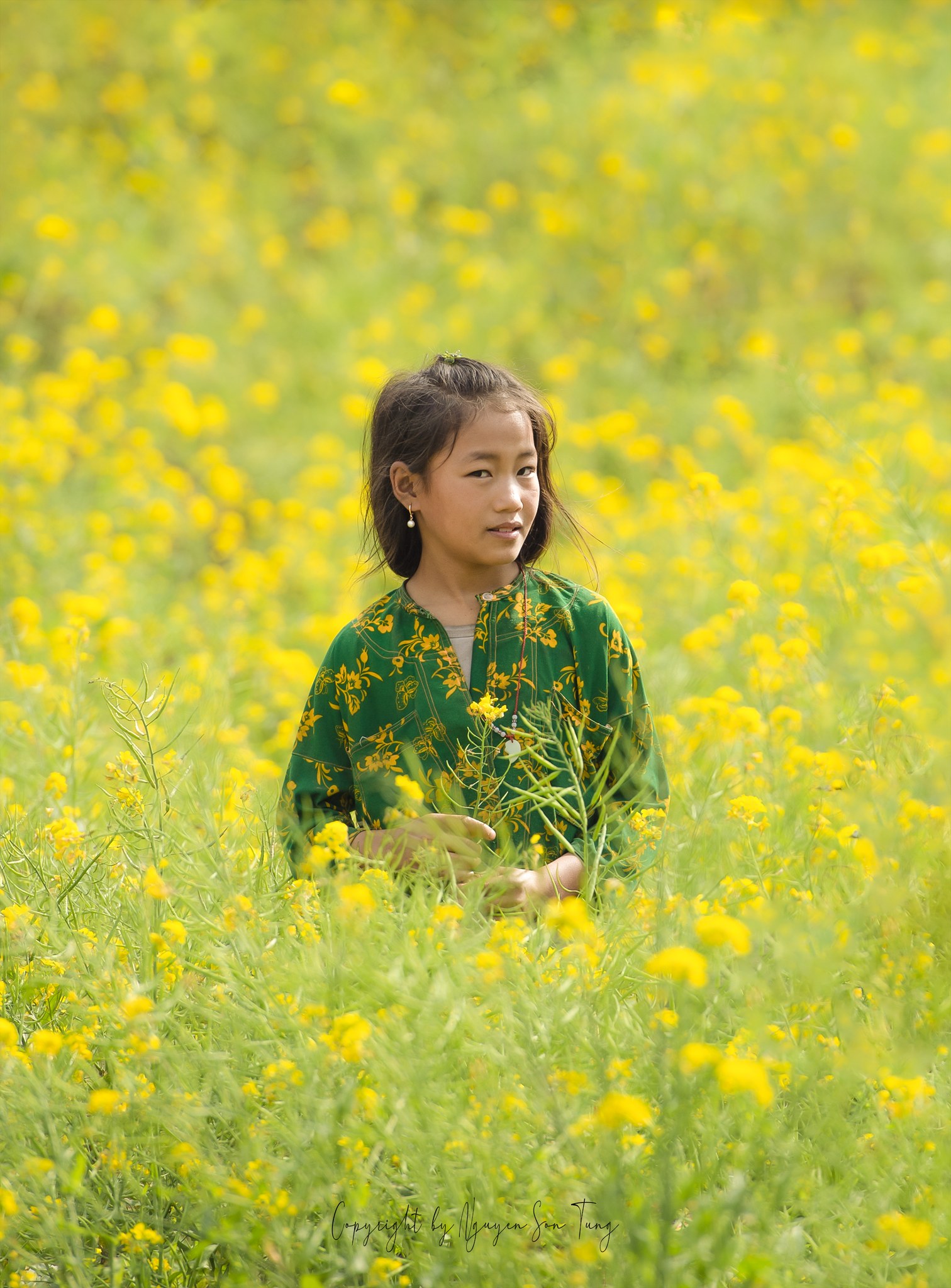 Cô gái đứng giữa đồng hoa cải vàng