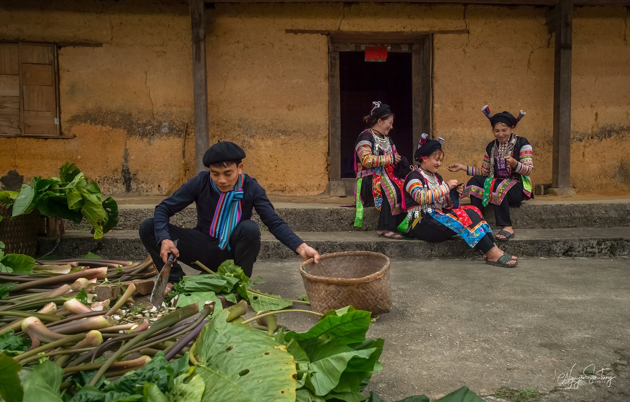 Bà con soạn rau xanh trước sân nhà trình tường