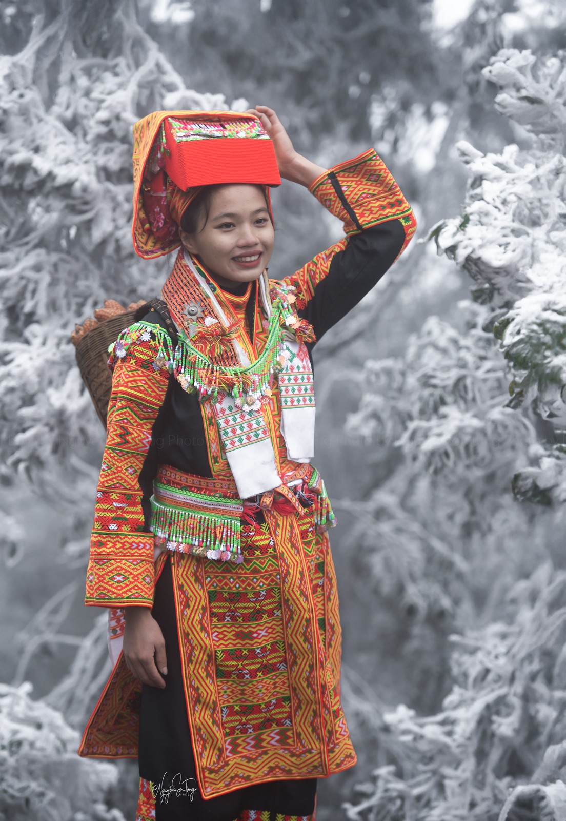 Ngày băng giá Mẫu Sơn