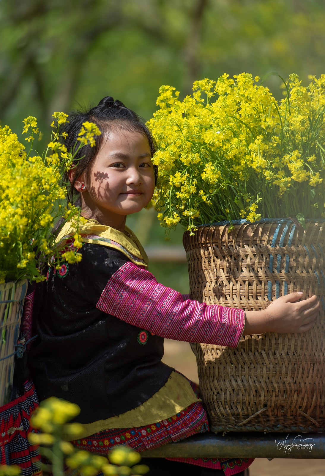Mùa hoa cải