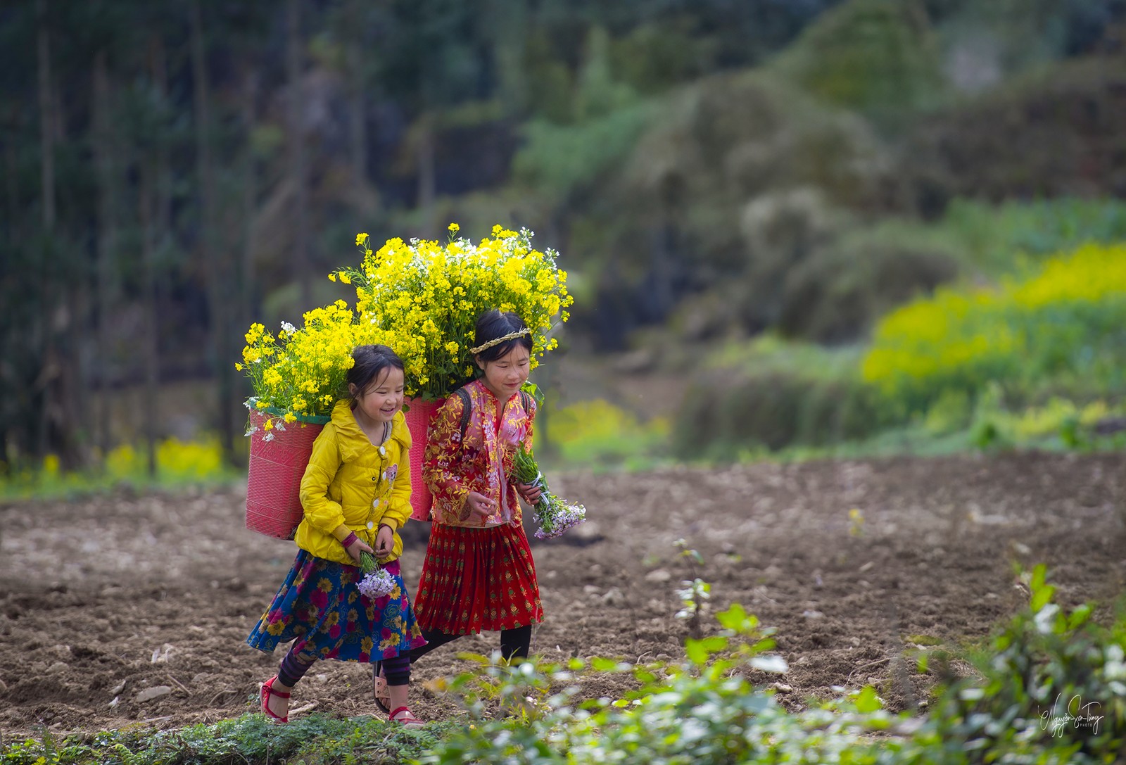 Xuân về trên bản