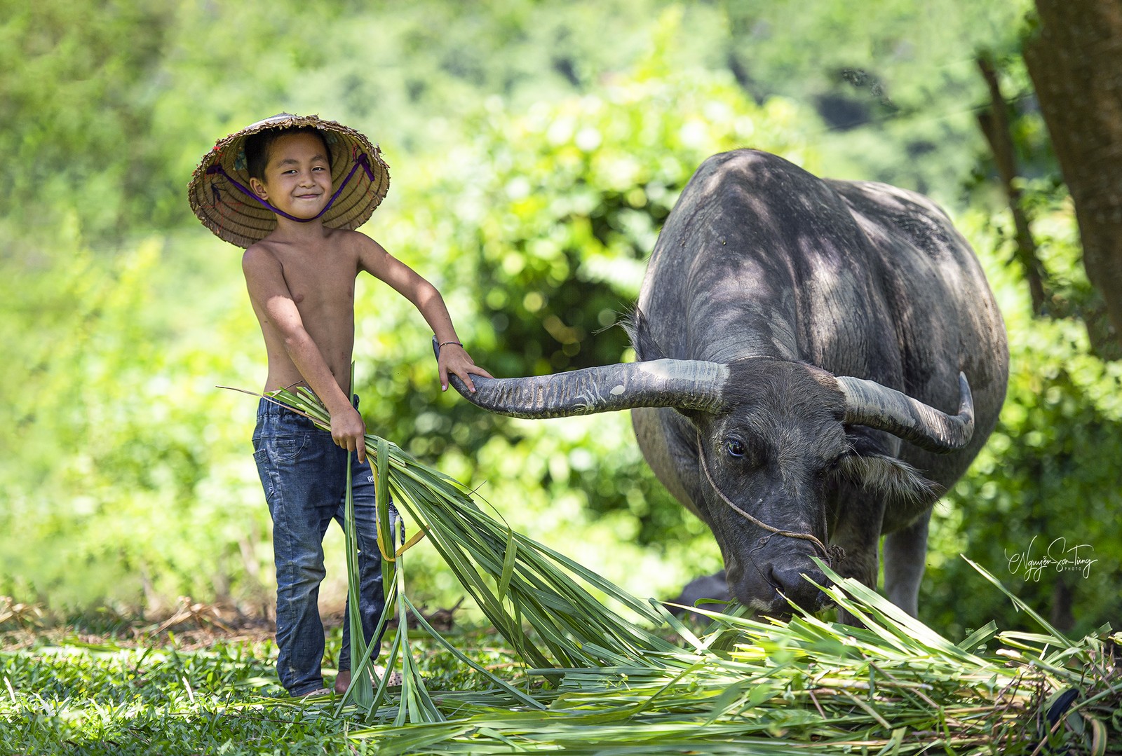 Mùa hè của em