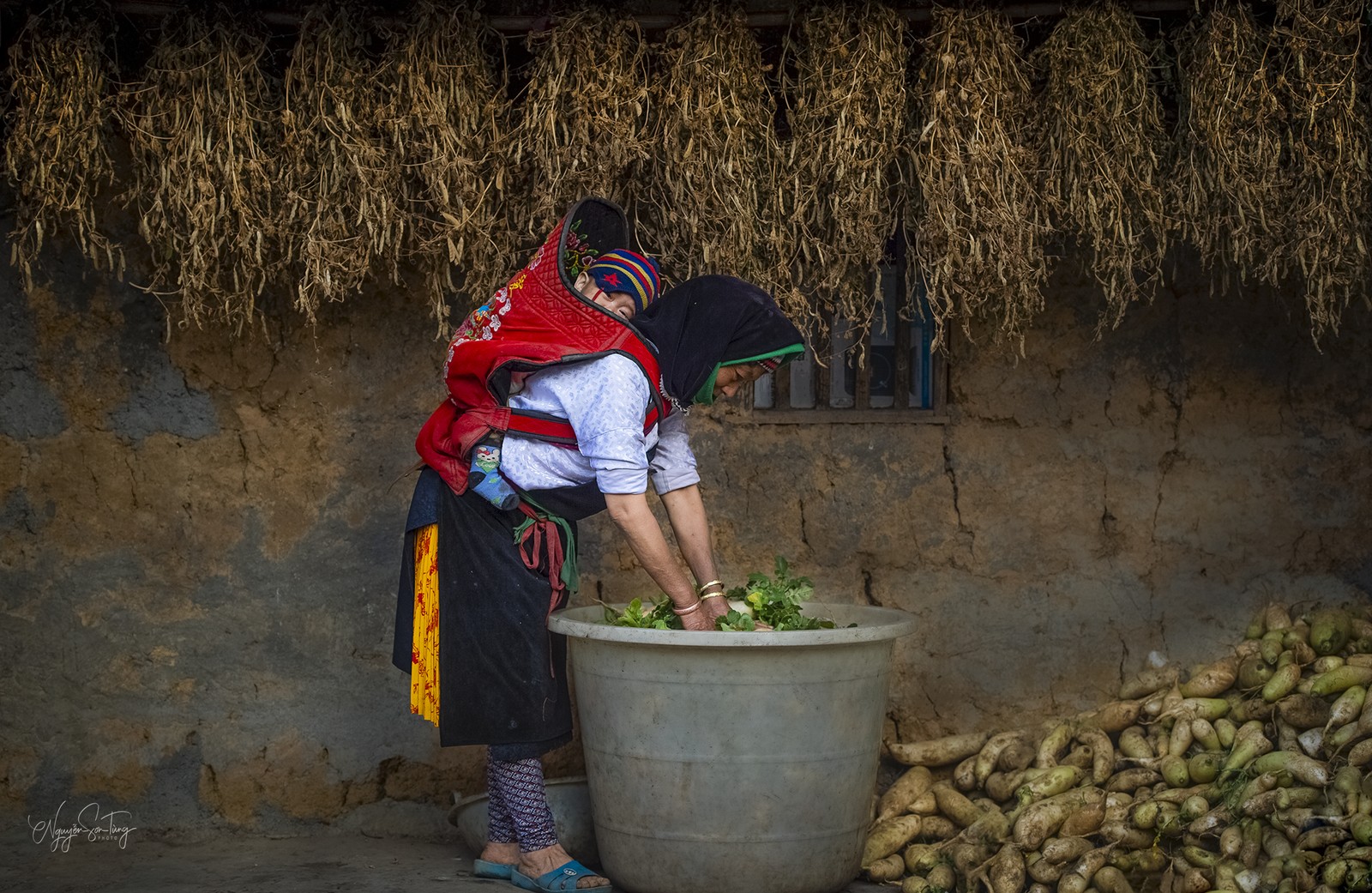 Bên hiên nhà trình tường