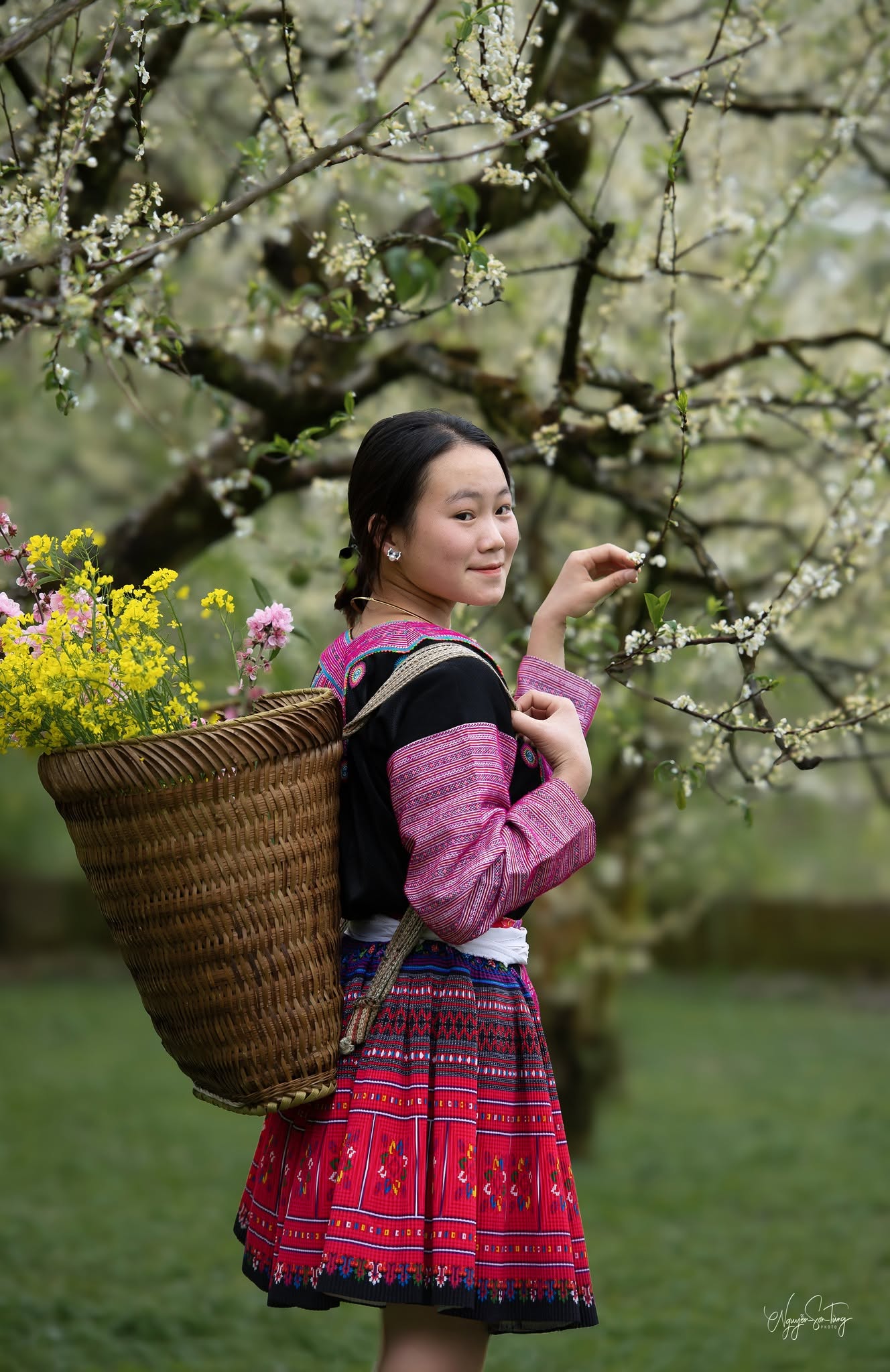 Gùi hoa cải
