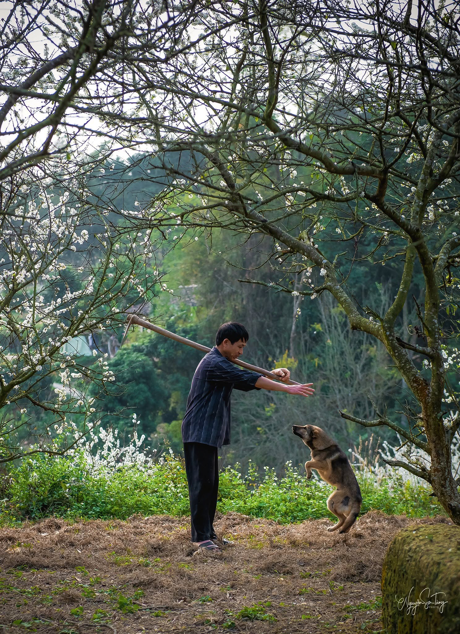 Người nông dân và chú chó