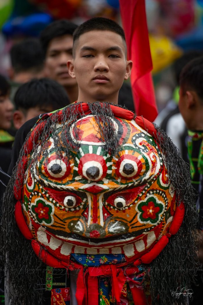 Đầu sư tử mèo