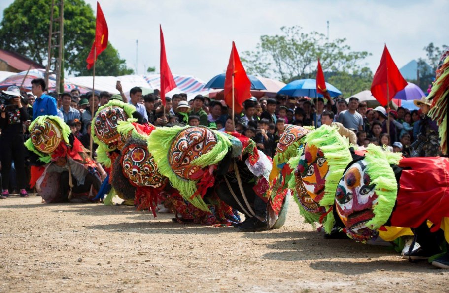Sư tử mèo xung trận
