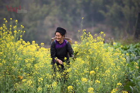 xuan07